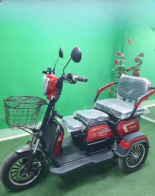 বৈদ্যুতিক ট্রাইসাইকেল: আধুনিক নারীর স্বাধীন চলাফেরার নতুন সঙ্গী | electric tricycle for women